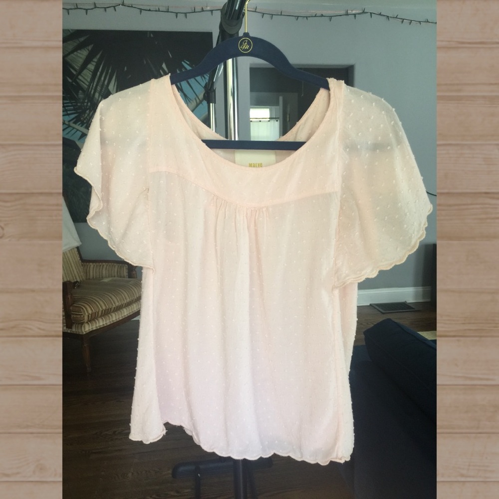 Ballerina Pink Anthro Top